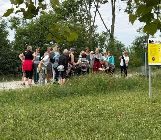 Eine Gruppe von Menschen, wahrscheinlich Touristen, versammelt sich auf einem Rasenfeld und hört einem Führer zu. Sie sind von Bäumen und einem Schild umgeben.