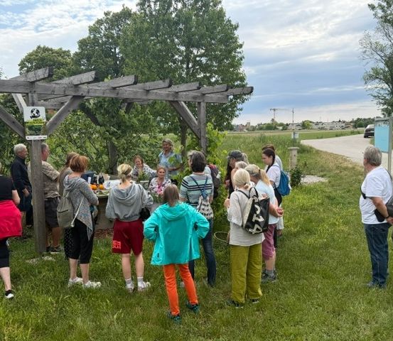Eine Gruppe von Menschen versammelt sich in einem Grasbereich unter einem hölzernen Pergola, einige stehen, während andere um einen Tisch mit Essen und Getränken sitzen. Bäume und eine Straße sind im Hintergrund sichtbar.
