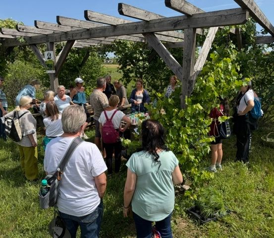 Eine Gruppe von Menschen versammelt sich in einem Garten unter einem hölzernen Pergola, einige stehen und andere sitzen auf Bänken. Sie führen Gespräche und einige halten Flaschen. Der Garten ist von üppigem Grün umgeben.