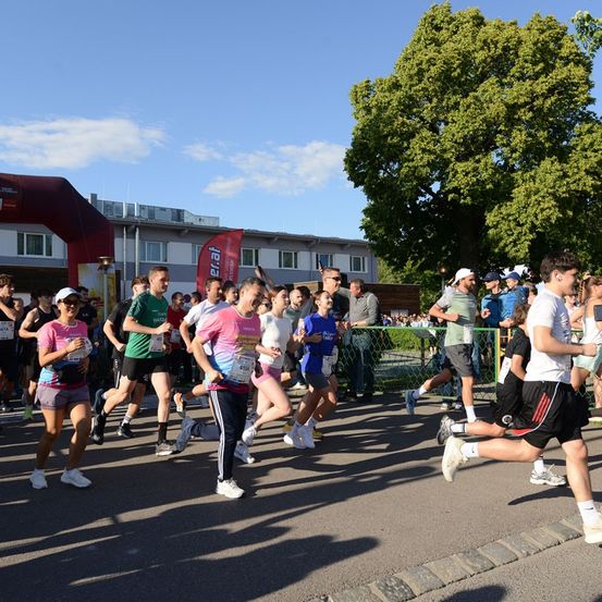 Eine Gruppe von Läufern nimmt an einem Marathon teil. Sie laufen auf einer asphaltierten Straße, mit einem Baum und einem Gebäude im Hintergrund.