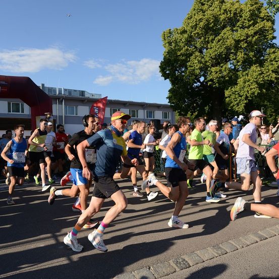 Eine Gruppe von Läufern bei einem Marathon, einige mit Kopfhörern, an einem sonnigen Tag mit klarem blauem Himmel und einem großen Baum im Hintergrund.