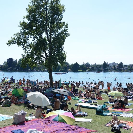 Eine große Menschenmenge versammelt sich auf einem Rasenfeld in der Nähe eines Sees, einige schwimmen und andere sonnenbaden oder entspannen sich auf Decken und unter Schirmen.