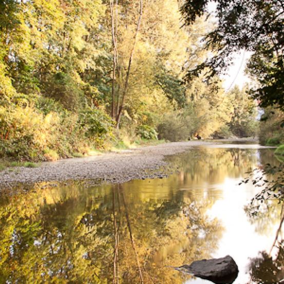 Bild enthält, Nature, Outdoors, Pond, Water, Creek, Canal, Land, Vegetation, Scenery, Tree