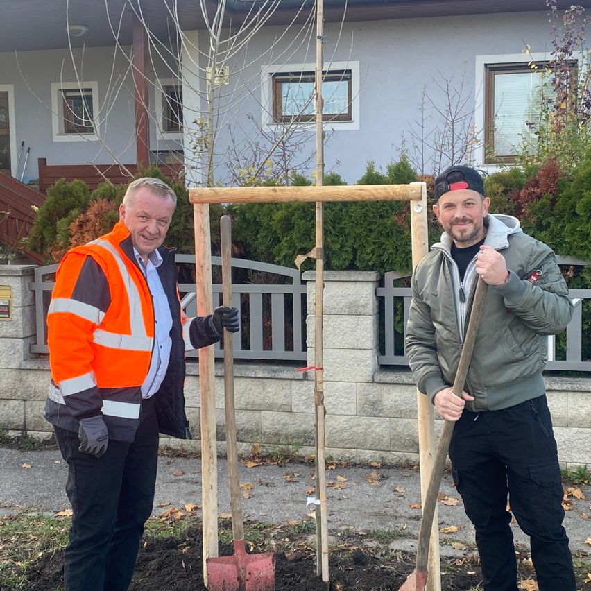 Zwei Männer stehen neben einem frisch gepflanzten Baum, einer trägt eine orange Weste und der andere eine schwarze Jacke und einen Hut, beide halten Schaufeln vor einem Haus mit Ziegelwänden.