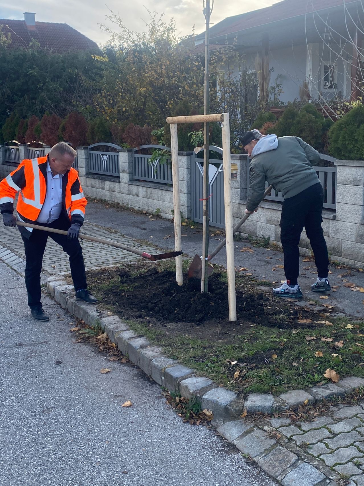 Zwei Männer graben ein Loch, um einen Baum am Straßenrand zu pflanzen.