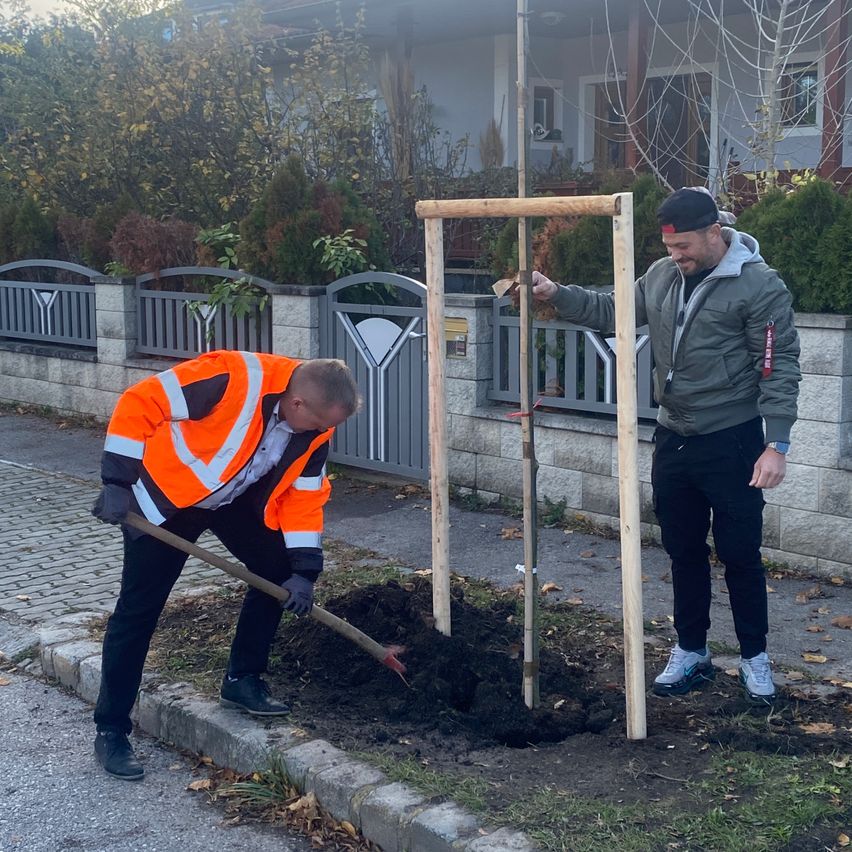 Zwei Männer pflanzen einen Baum auf einer Straße. Einer trägt eine orange Weste, der andere eine graue Jacke. Hinter ihnen steht ein Haus mit einem grauen Zaun.