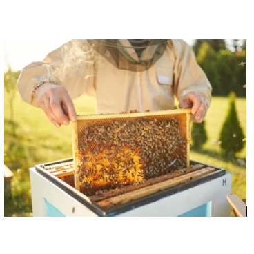 v1_migrated_image_72877459