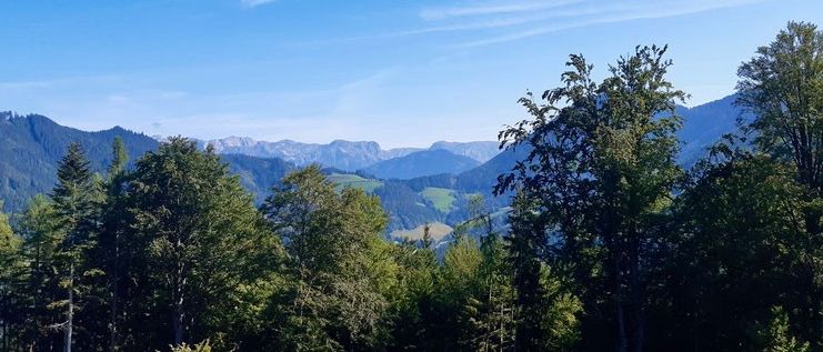 Bild enthält, Vegetation, Land, Nature, Outdoors, Tree, Woodland, Scenery, Wilderness, Landscape, Mountain Range