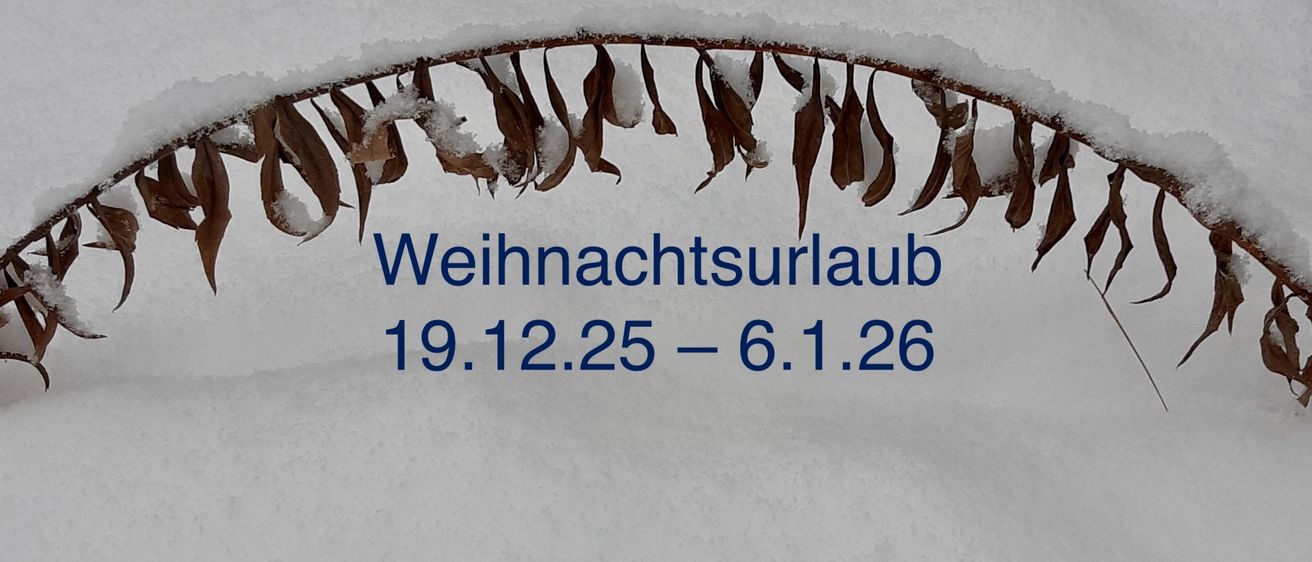 Verschneite Szene mit einem mit Schnee bedeckten Zweig, der den Text 'Weihnachtsurlaub 19.12.25 - 6.1.26' anzeigt. Der Hintergrund ist weiß mit sichtbarem Schnee.