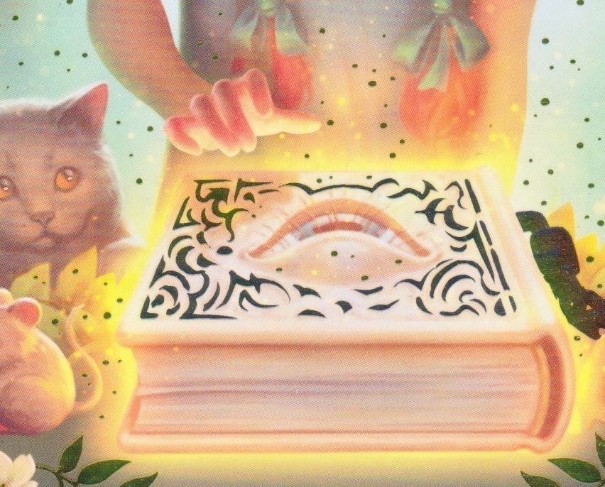 Das Buchcover zeigt ein junges Mädchen mit roten Haaren, das ein Buch hält, umgeben von magischen Kreaturen und Pflanzen, mit dem Titel Cassandra Morgan über ihr.