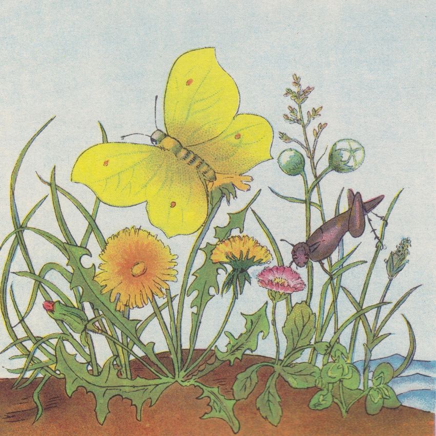 An illustration of a yellow butterfly with red spots flying over various flowers and plants in a meadow.