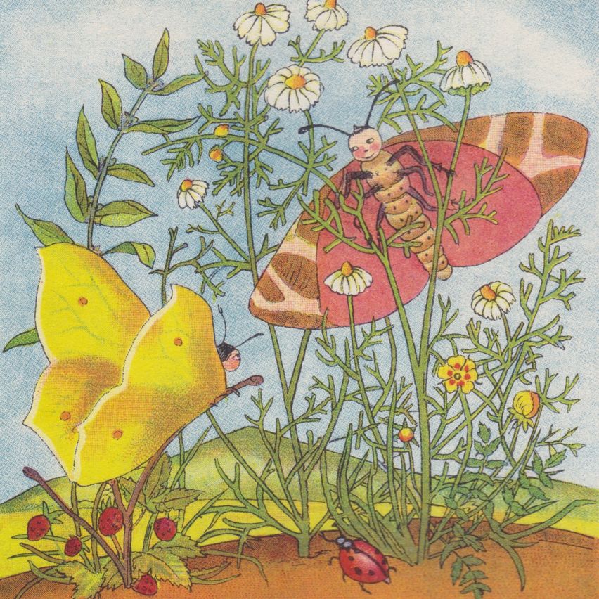 An illustration of a yellow butterfly and a pink butterfly with a caterpillar on it, surrounded by flowers and plants.