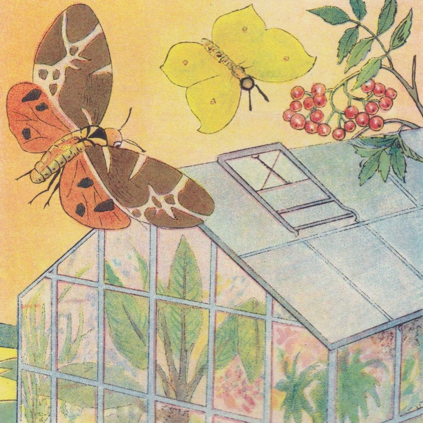 An illustration of a greenhouse with a brown butterfly and a yellow butterfly flying above it. The greenhouse has glass panels and a plant with red berries.