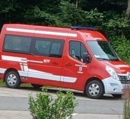 Ein roter Rettungswagen mit weißen Streifen ist am Straßenrand geparkt, mit Grünpflanzen und Bäumen im Hintergrund.