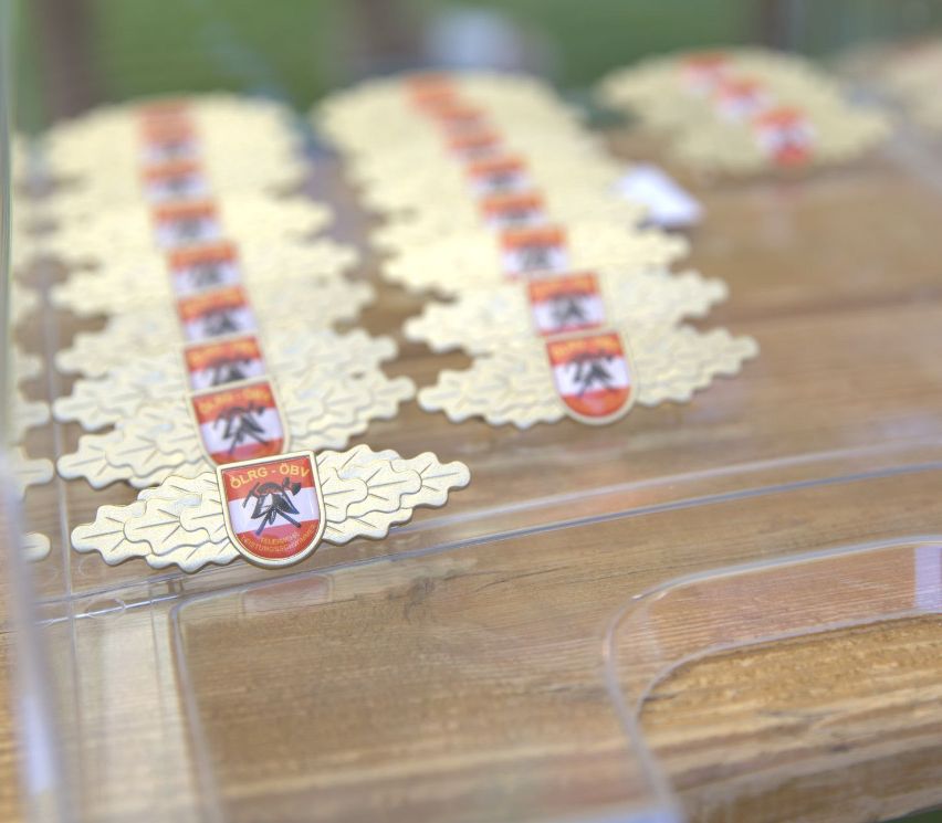Ein Holztisch zeigt eine Reihe goldener Medaillen mit Flügeln und Schilddesign, mit Logo und Text. Die Medaillen sind klar und ordentlich.