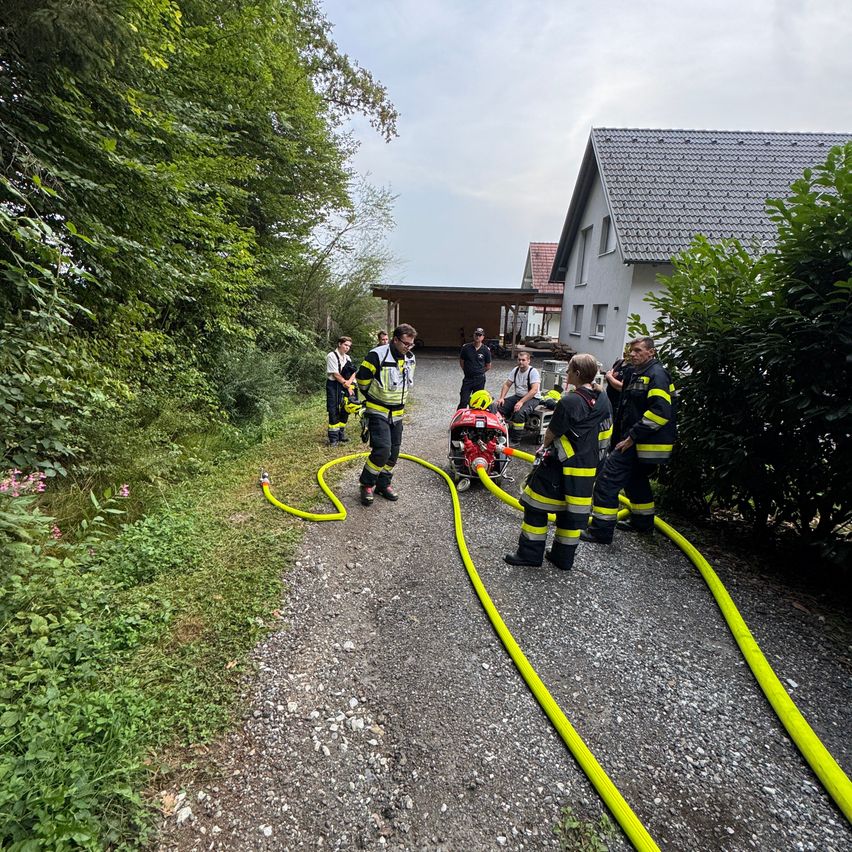 A group of firefighters in yellow and black uniforms are working on a fire hydrant on a gravel path. They are surrounded by bushes and trees. A person in a red helmet is sitting on a stretcher.