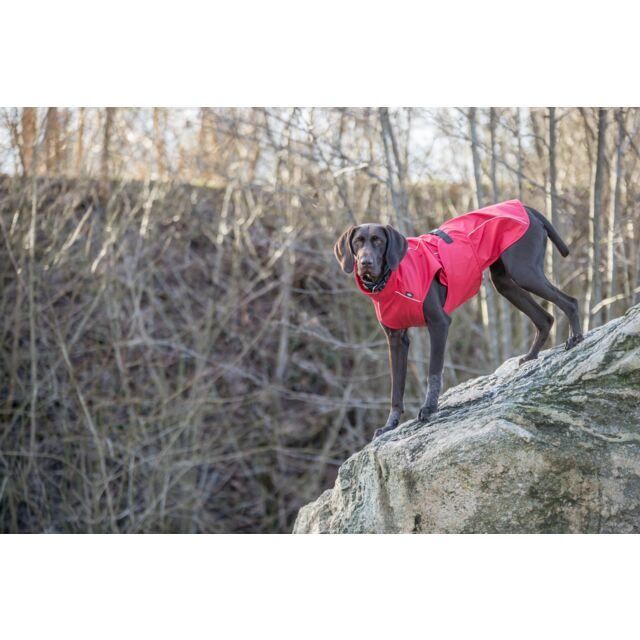 Bild enthält, Clothing, Coat, Animal, Canine, Dog, Mammal, Pet, Person, Walking Dog, Raincoat