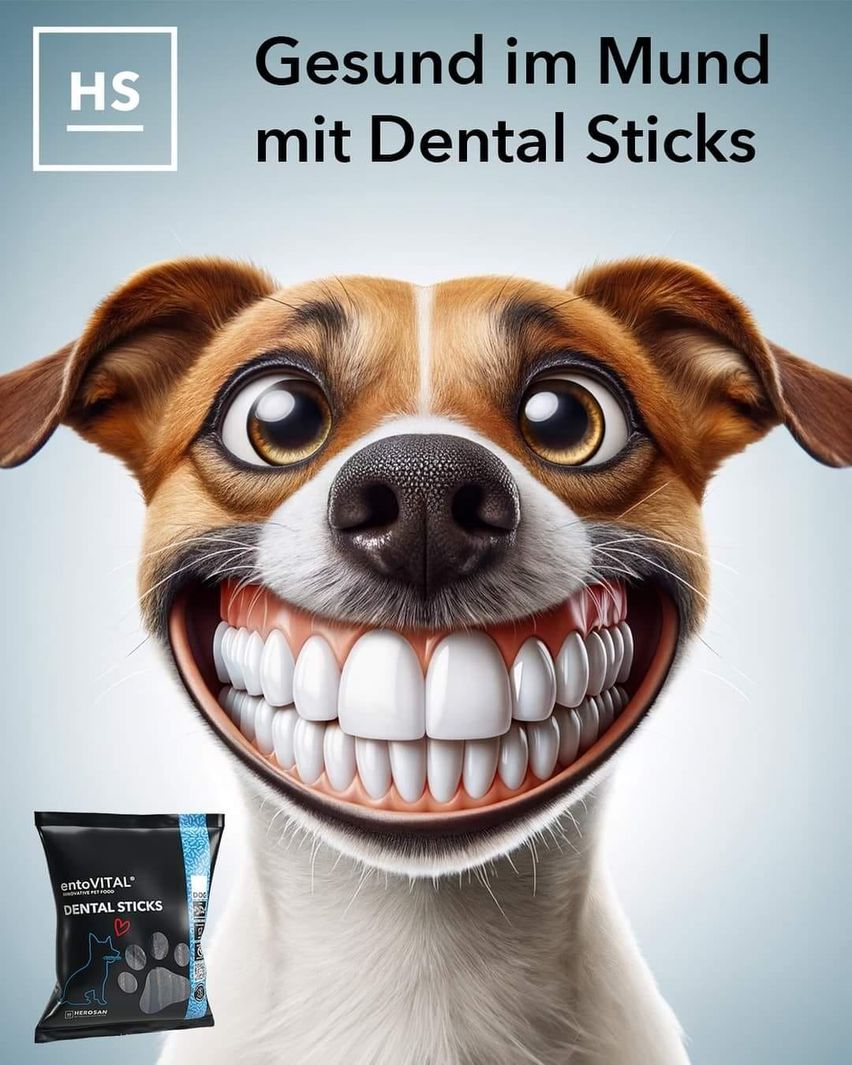 Bodie dental sticks best sale