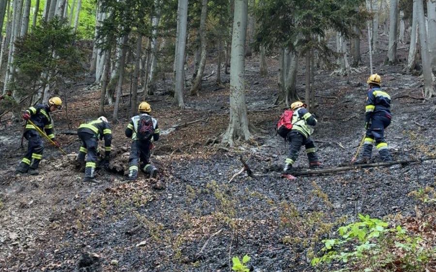 Fünf Feuerwehrleute arbeiten in einem verbrannten Wald, tragen gelbe Helme und gelbe Uniformen. Sie räumen Trümmer weg. Der Boden ist mit Asche und verbrannten Blättern bedeckt.