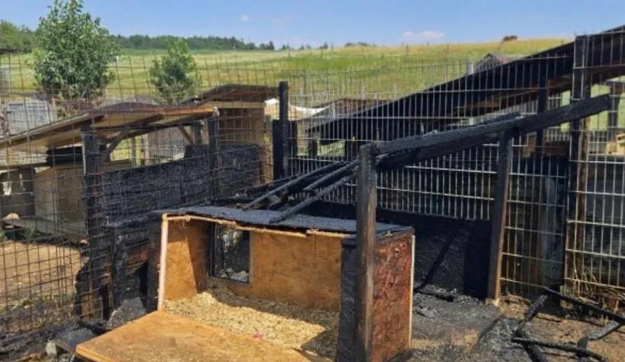 Ein verbrannter Holzkasten liegt in einem eingezäunten Bereich mit anderen beschädigten Strukturen. Der Boden ist mit Ruß und Schutt bedeckt. Bäume und ein Feld sind im Hintergrund.