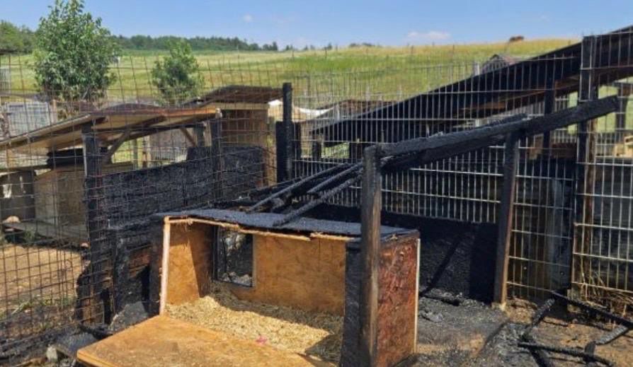 Ein verbrannter Holzkasten liegt in einem eingezäunten Bereich mit anderen beschädigten Strukturen. Der Boden ist mit Ruß und Schutt bedeckt. Bäume und ein Feld sind im Hintergrund.
