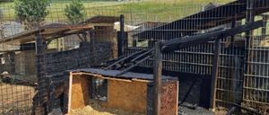 Ein verbrannter Holzkasten liegt in einem eingezäunten Bereich mit anderen beschädigten Strukturen. Der Boden ist mit Ruß und Schutt bedeckt. Bäume und ein Feld sind im Hintergrund.