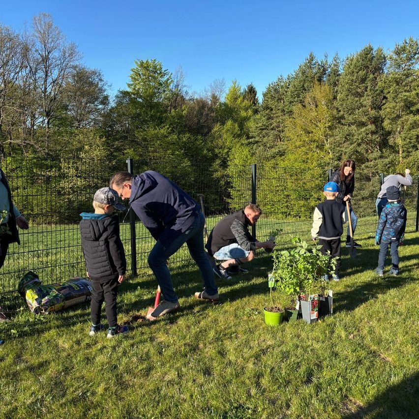 An einem sonnigen Tag pflanzt eine Gruppe von Menschen einen kleinen Baum auf dem Rasen, wobei einige Leute Schaufeln halten und einige Kinder zuschauen.