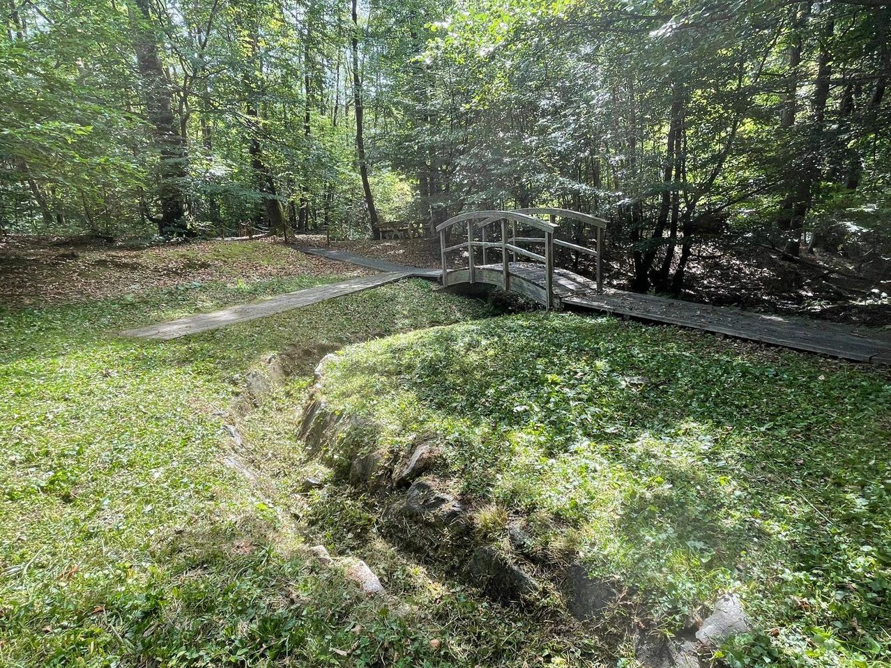 Eine Holzbrücke überquert einen kleinen Bach in einem üppigen Wald, mit einem grasbewachsenen Pfad, der zu ihr führt.