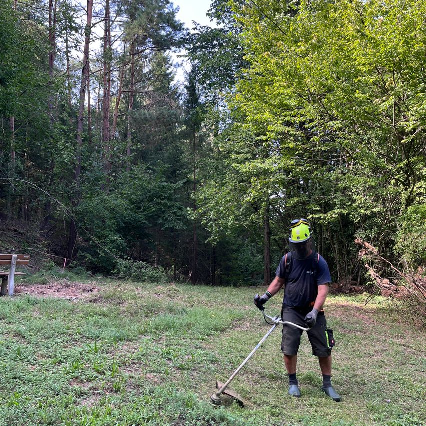 Ein Mann mit gelbem Helm und Schutzausrüstung räumt mit einem Astscherenschneider Gras in einem Wald.