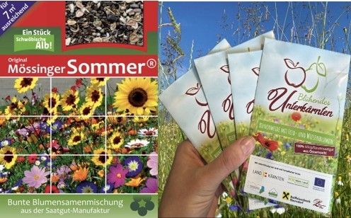 Eine Werbung für eine farbenfrohe Mischung von Wildblumensamen, mit einer Collage bunter Blumen und einer Hand, die eine Packung Samen hält.
