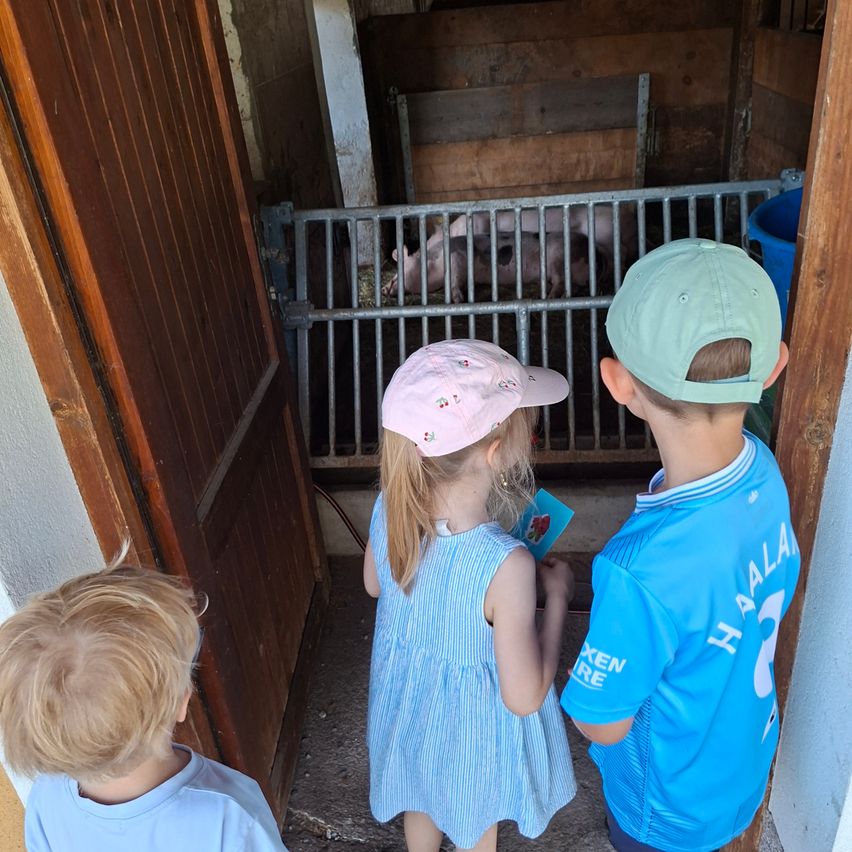 Drei Kinder, zwei Mädchen und ein Junge, stehen in einer Türöffnung und schauen Schweine in einem Käfig an. Das Mädchen in der Mitte hält ein Buch.