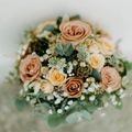 Flower, Plant, Rose, Flower Arrangement, Flower Bouquet, Art, Floral Design, Graphics, Pattern
