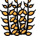 Agrargemeinschaft Seebergalm-Logo