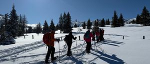 Bild enthält, Nature, Outdoors, Piste, Snow, Tree, Fir, Adult, Male, Man, Person