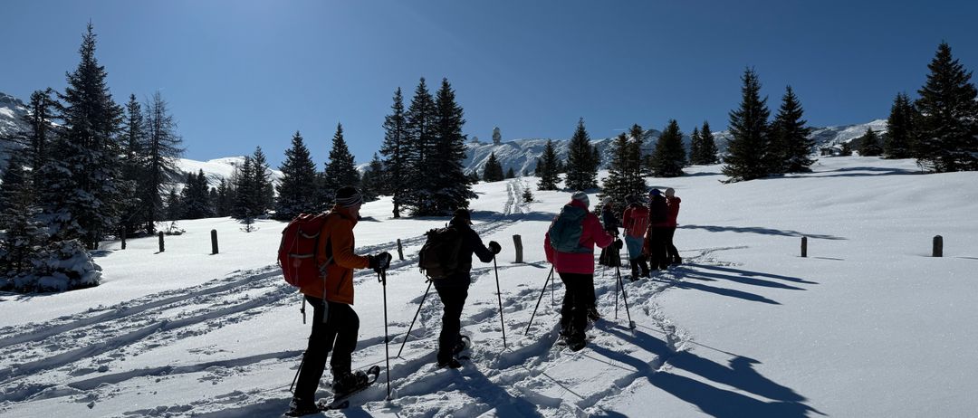 Bild enthält, Nature, Outdoors, Piste, Snow, Tree, Fir, Adult, Male, Man, Person