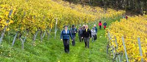 Bild enthält, Nature, Outdoors, Countryside, Person, Walking, Rural, Farm, Vineyard, Hat, Wine Tour