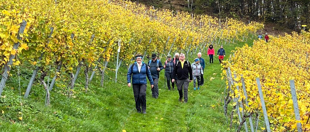 Bild enthält, Nature, Outdoors, Countryside, Person, Walking, Rural, Farm, Vineyard, Hat, Wine Tour