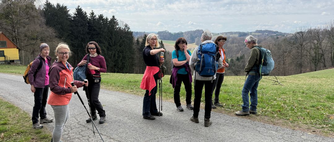Eine Gruppe von Menschen wandert mit Rucksäcken auf einer Straße. Sie haben Wanderstöcke und scheinen die Aussicht zu betrachten. Sie sind von Gras und Bäumen umgeben.