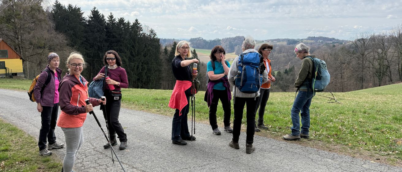 Eine Gruppe von Menschen wandert mit Rucksäcken auf einer Straße. Sie haben Wanderstöcke und scheinen die Aussicht zu betrachten. Sie sind von Gras und Bäumen umgeben.
