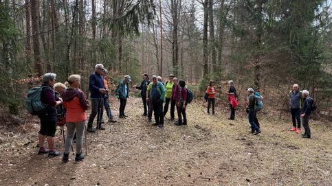 Eine Gruppe von Menschen wandert in einem bewaldeten Gebiet und trägt Rucksäcke und Wanderstöcke. Einige tragen Hüte und Sonnenbrillen.