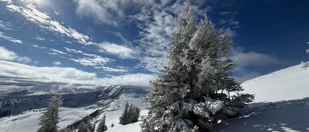 Eine verschneite Berglandschaft mit einem hohen, schneebedeckten Baum, unter einem klaren blauen Himmel mit verstreuten Wolken.