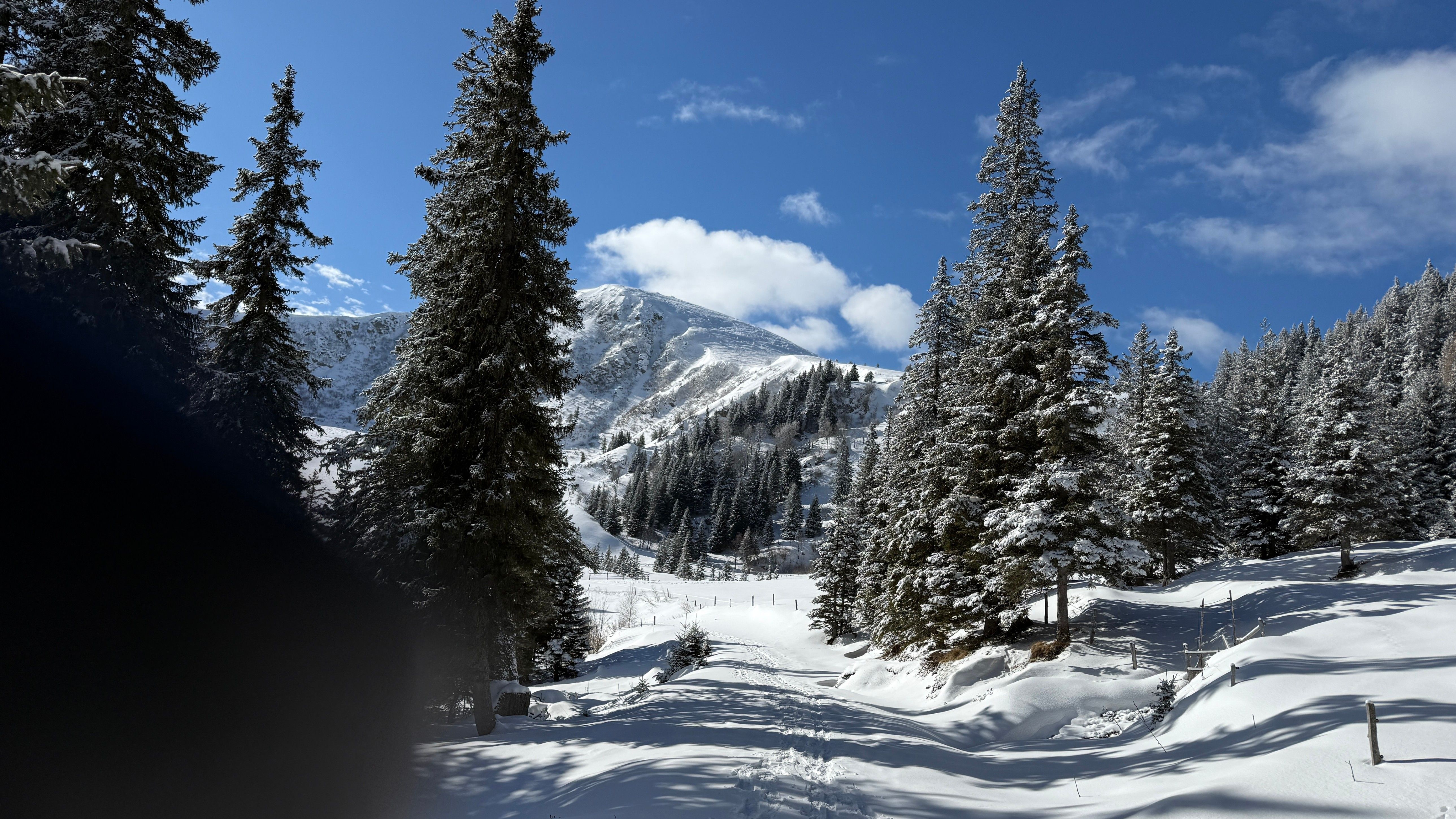 Eine verschneite Berglandschaft mit Kiefern, die mit Schnee bedeckt sind. Die Berge sind im Hintergrund sichtbar und der Himmel ist blau mit einigen Wolken.