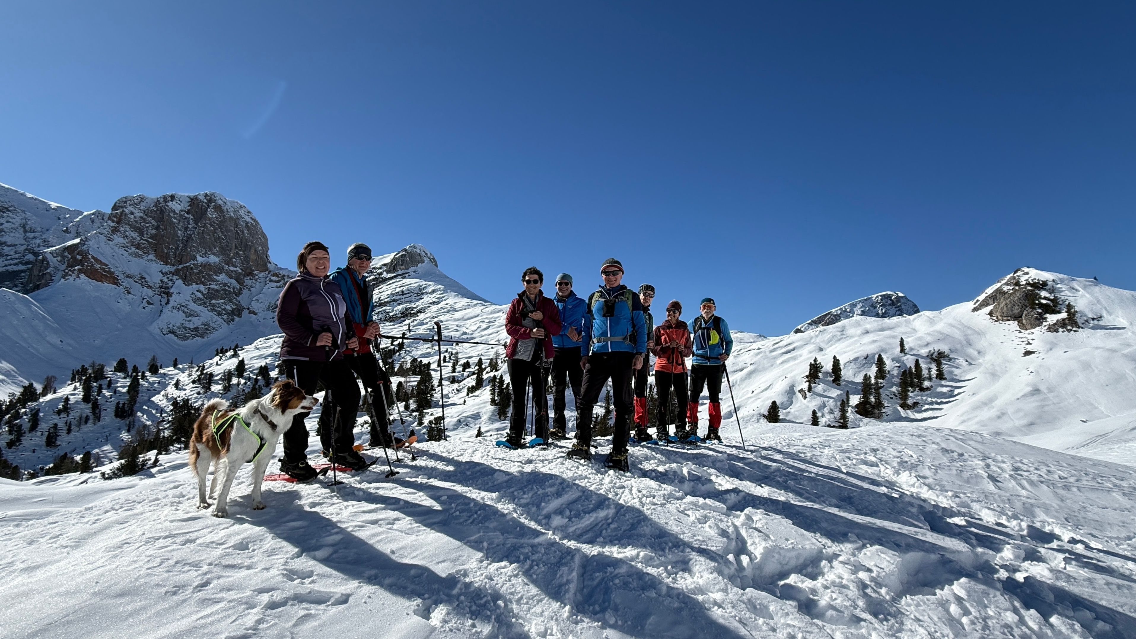 Eine Gruppe von Menschen steht auf einem verschneiten Berg mit Skistöcken. Sie tragen Winterkleidung, und einer hat einen Hund. Im Hintergrund sind Bäume und ein weiterer Gipfel zu sehen.