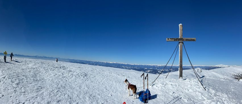 Bild enthält, Cross, Nature, Outdoors, Scenery, Person, Dog, Piste, Snow, Peak, Slope