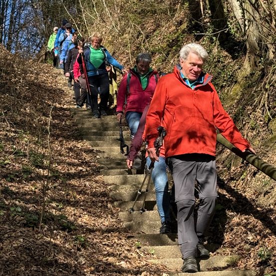 Eine Gruppe von Menschen geht eine Treppe auf einem Hügel mit trockenen Blättern und Bäumen hinauf.