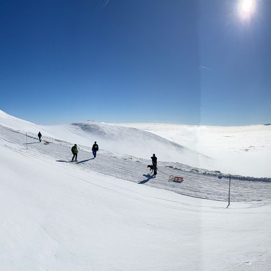 Eine Gruppe von Menschen und einem Hund auf einem verschneiten Hang unter einer strahlenden Sonne. Zwei Personen sind beim Skifahren, eine läuft mit einem Hund an der Leine, und ein Schlitten steht im Schnee. Der Boden ist schneebedeckt und der Himmel ist klar und blau.