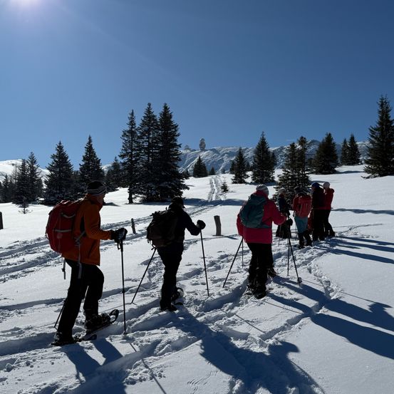 Eine Gruppe von Menschen schneeschuhwandert durch den Schnee mit Bäumen im Hintergrund.
