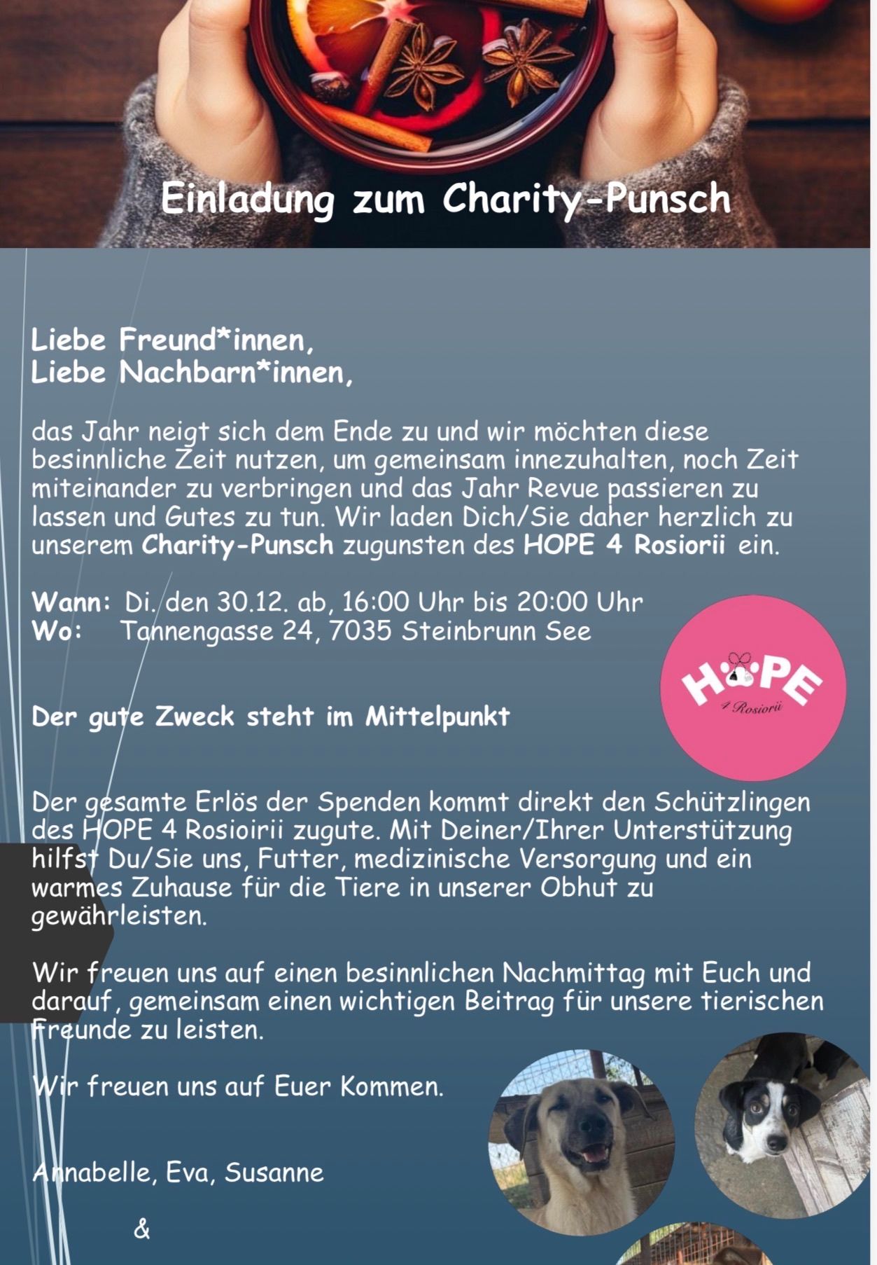 Einladung zum Charity-Punch. Liebe Freund*innen, liebe Nachbar*innen, das Jahr neigt sich dem Ende zu und wir möchten diese besinnliche Zeit nutzen, um gemeinsam innezuhalten. Der gesamte Erlös der Spenden kommt direkt den Schützlingen des HOPE 4 Rosiori zugute.