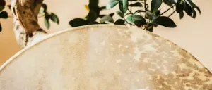 Ein Drumstick ruht auf einem hölzernen Trommelfell mit hellem Hintergrund. Hinter der Trommel befindet sich eine große Pflanze mit üppigen Blättern.