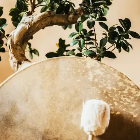 Ein altes hölzerne Trommel mit einem Stock und einem Baum im Hintergrund.